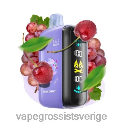 Vape Wholesale Sverige - Elf Bar Raya D3 25 000 disponibel 28DJ21