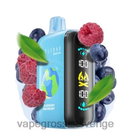 Vape Wholesale Sverige - Elf Bar Raya D3 25 000 disponibel 28DJ21