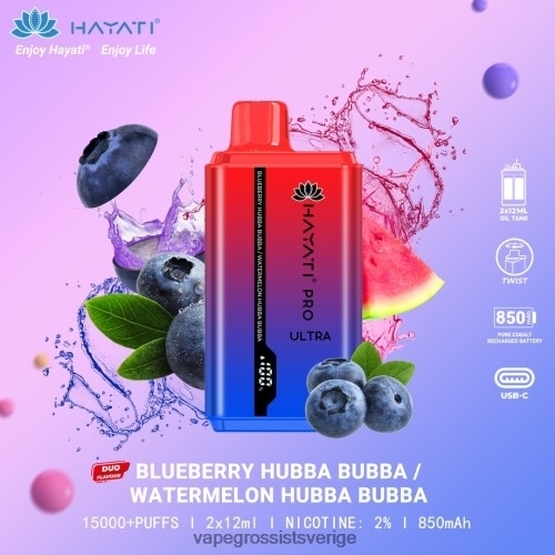blåbär hubba bubba/vattenmelon hubba bubba