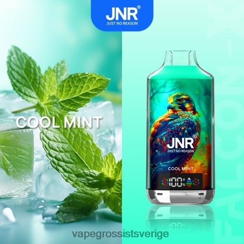 Vape Wholesale Stockholm - fräsch mint BXF6H0545 JNR FALCON-X