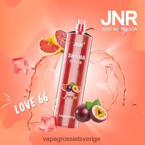 Vape Wholesale Reviews - älskar 66 BXF6H0683 JNR SHISHA
