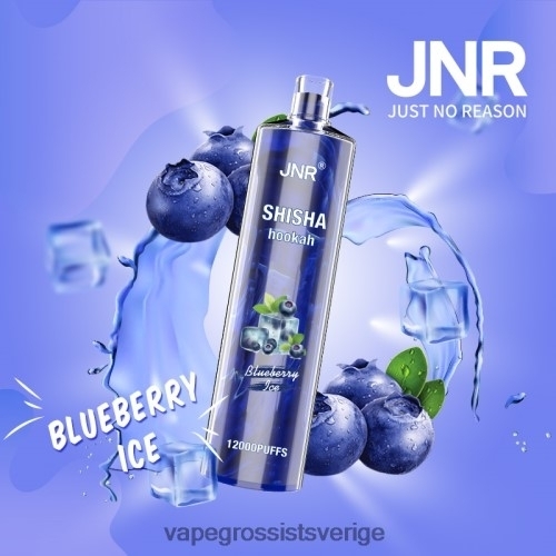 blåbärsis