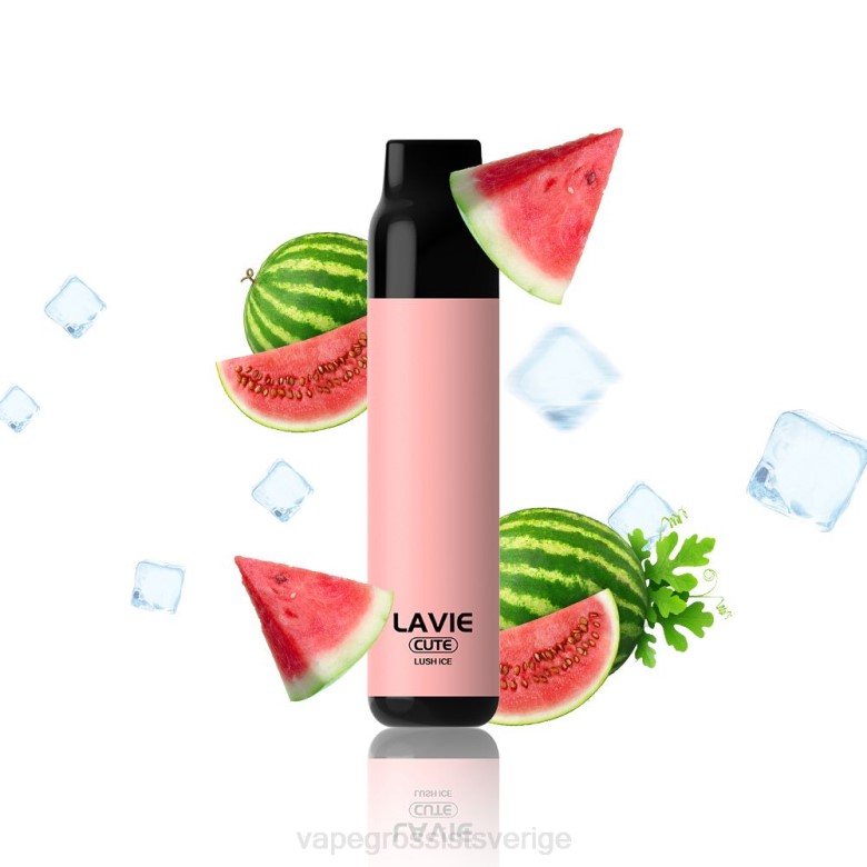 Vape Wholesale Stockholm - LAVIE BAR 3000 bloss 2ZZZ285 frodig is