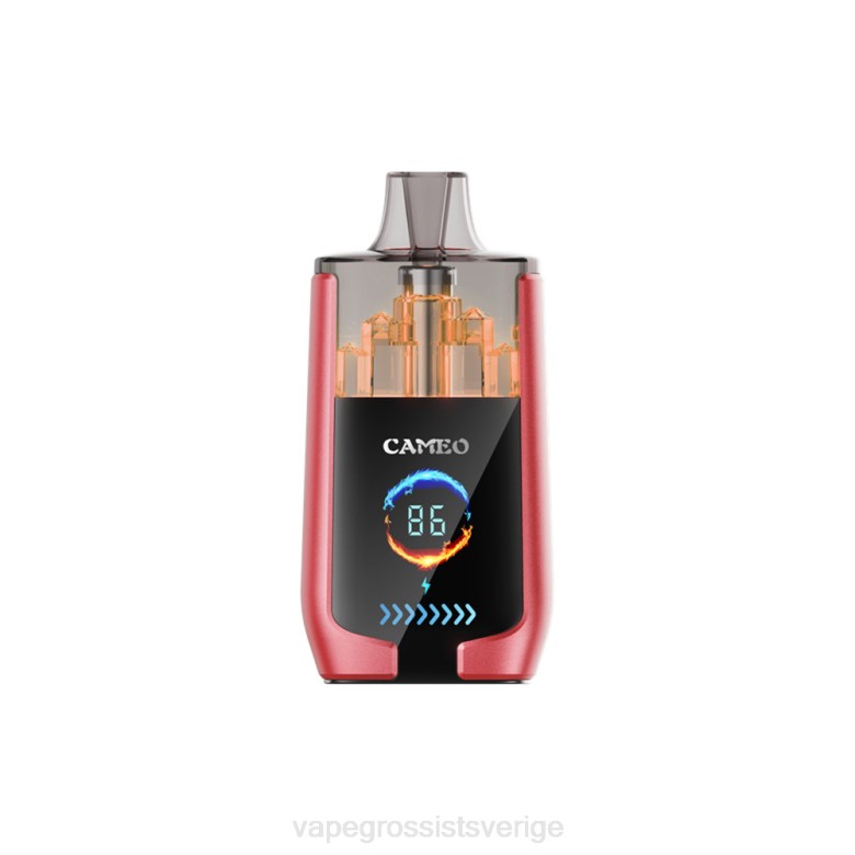 Vape Juice Wholesale - LAVIE CAMEO 30 000 bloss 2ZZZ14 vattenmelon is