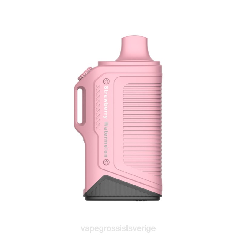 jordgubbsvattenmelon