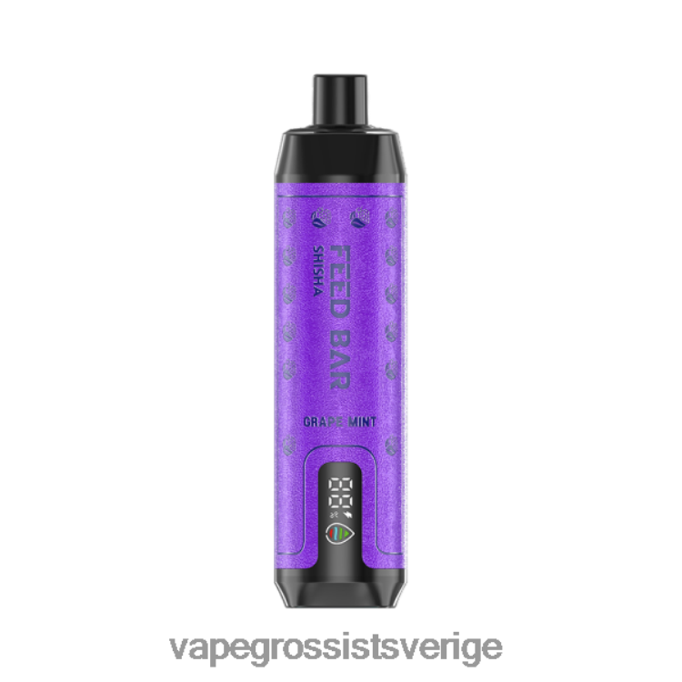 Nicotine Vapes Wholesale - Vapsolo SHISHA engångsvape druvmynta 2RP0F4100