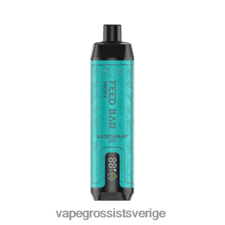 Vape Grossist - Vapsolo SHISHA engångsvape svartvinbärsis 2RP0F496