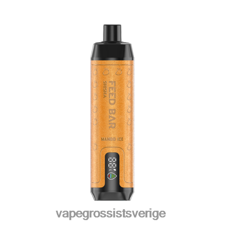 Vape Wholesale Reviews - Vapsolo SHISHA engångsvape mango is 2RP0F4103