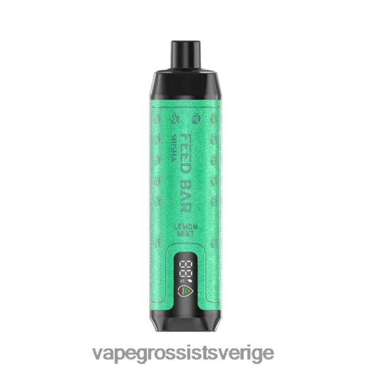 Vape Wholesale Sverige - Vapsolo SHISHA engångsvape citronmynta 2RP0F4101