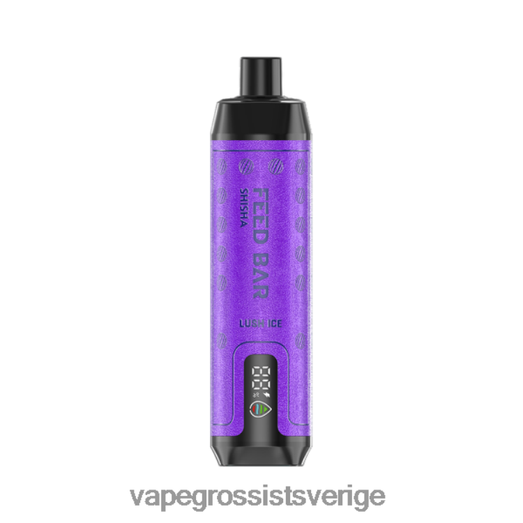 Vape Wholesale Sweden - Vapsolo SHISHA engångsvape frodig is 2RP0F4102