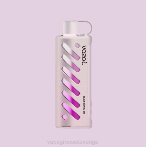 Vape Wholesale Sverige - VOZOL växel shisha 25000 mång N4861