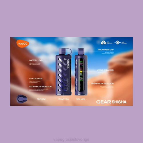 Vape Wholesale Sverige - VOZOL växel shisha 25000 mång N4861