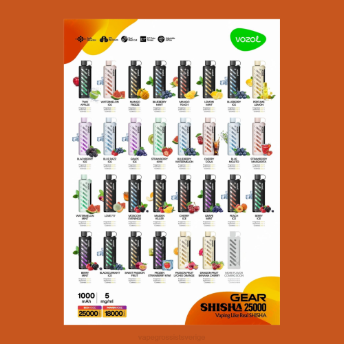 Vape Wholesale Sverige - VOZOL växel shisha 25000 mång N4861