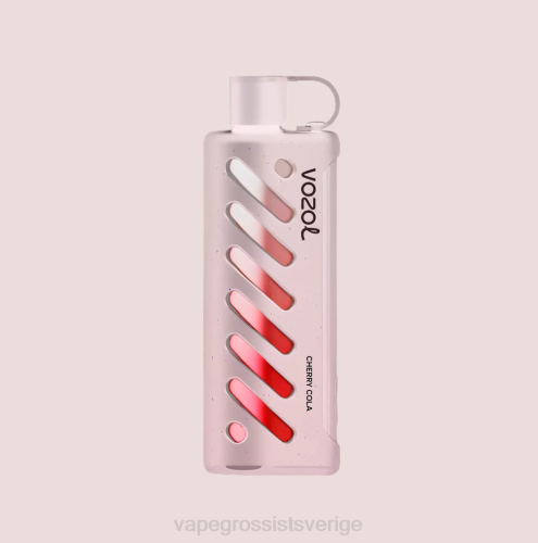 Vape Wholesale Sverige - VOZOL växel shisha 25000 mång N4861