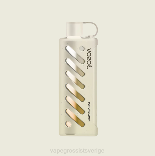 Vape Wholesale Sverige - VOZOL växel shisha 25000 mång N4861
