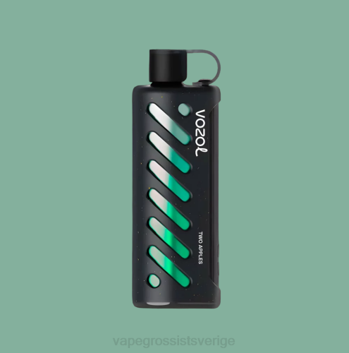 Vape Wholesale Sverige - VOZOL växel shisha 25000 mång N4861