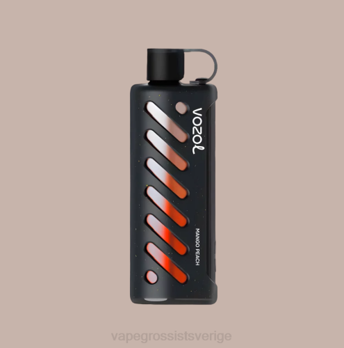 Vape Wholesale Sverige - VOZOL växel shisha 25000 mång N4861