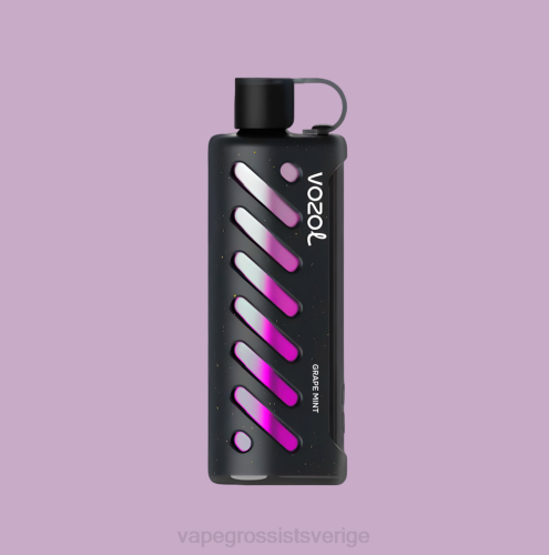 Vape Wholesale Sverige - VOZOL växel shisha 25000 mång N4861